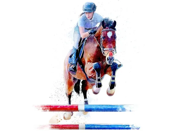 Lire la suite de l'actualité Félicitations à Manon Lebo pour son podium au Championnat de France d’Équitation en catégorie junior